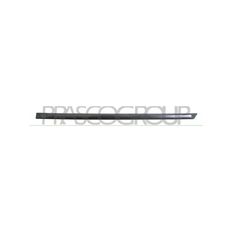 Baguette et bande protectrice, porte arrière gauche PRASCO SK3201454
