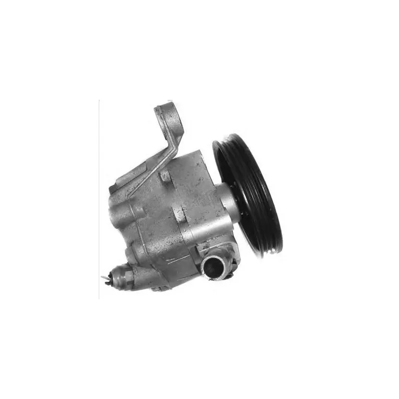 Pompe hydraulique, direction GENERAL RICAMBI PI0490