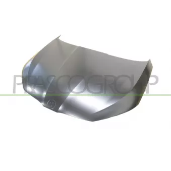 Capot-moteur PRASCO SK3523100
