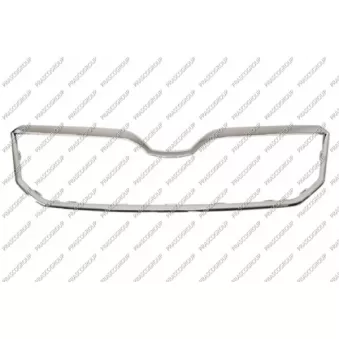 Cadre, grille de radiateur PRASCO
