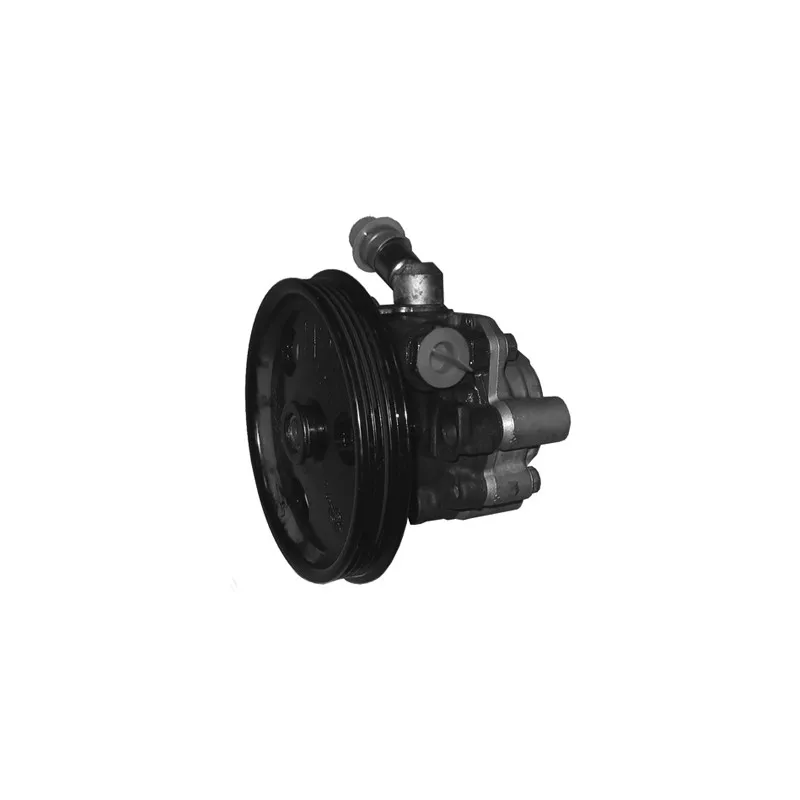 Pompe hydraulique, direction GENERAL RICAMBI PI0702
