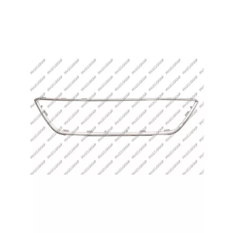 Baguette et bande protectrice, grille de radiateur PRASCO ST4262305