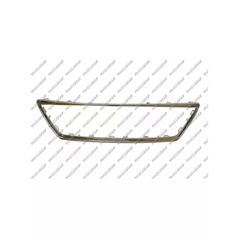 Cadre, grille de radiateur PRASCO ST4282206
