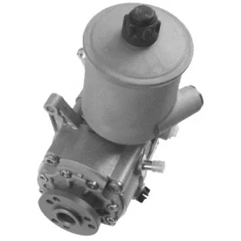 Pompe hydraulique, direction GENERAL RICAMBI PI0821