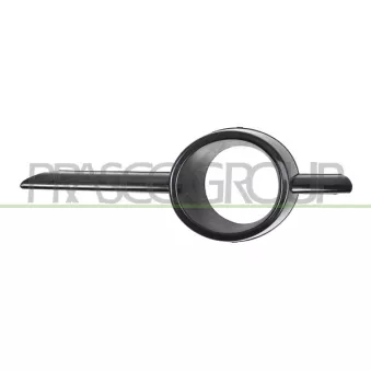 Cadre, projecteur antibrouillard PRASCO SZ0351224