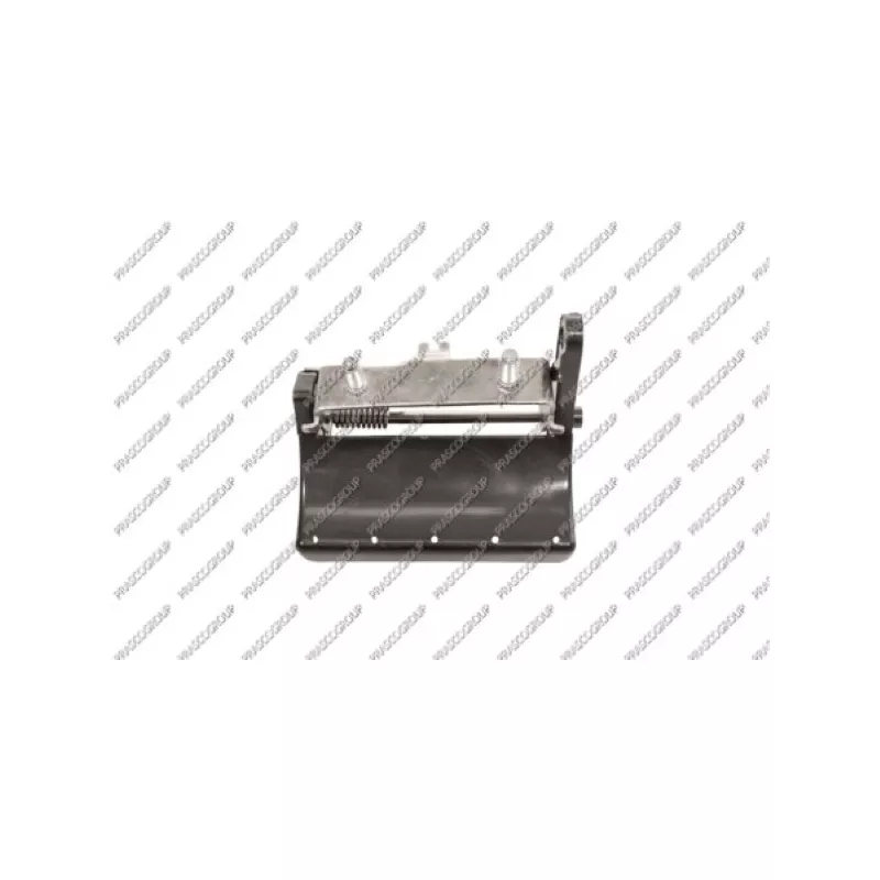 Poignée extérieure de porte PRASCO SZ0488801