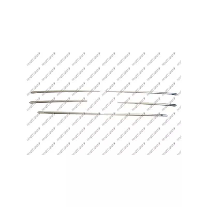 Baguette et bande protectrice, grille de radiateur PRASCO SZ0542240