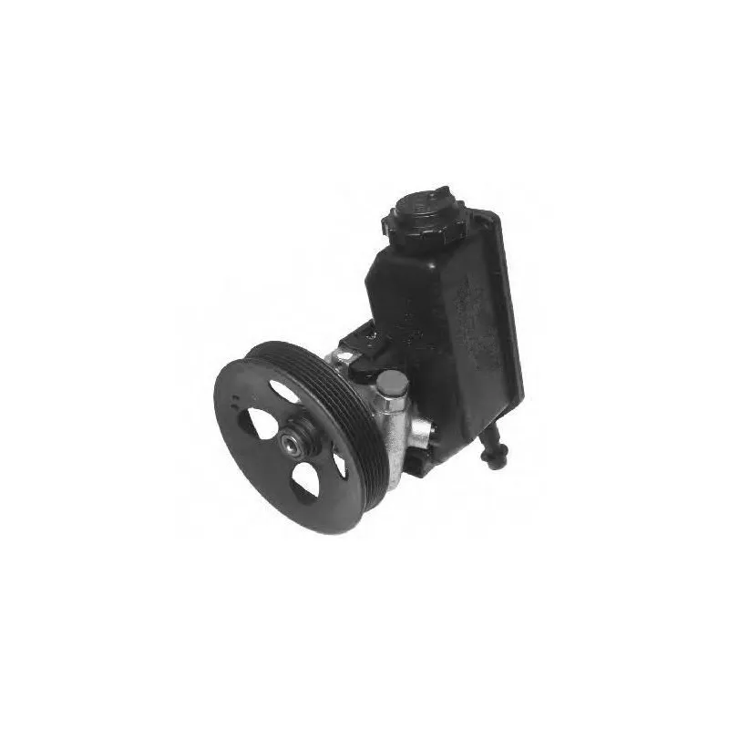 Pompe hydraulique, direction GENERAL RICAMBI PI0993