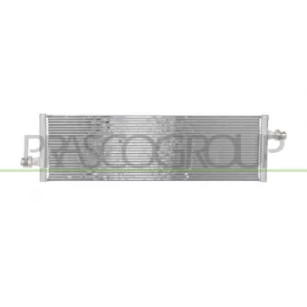 Radiateur, refroidissement du moteur PRASCO TS300R001