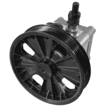 Pompe hydraulique, direction GENERAL RICAMBI