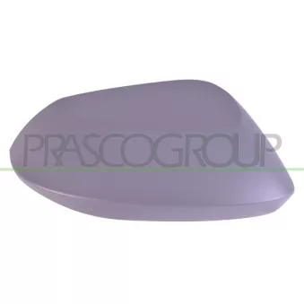 Revêtement, rétroviseur extérieur PRASCO TY0967405
