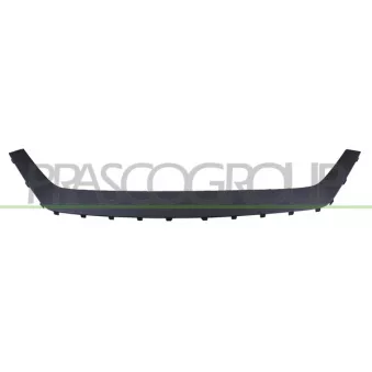 Baguette et bande protectrice, pare-chocs PRASCO TY2081215