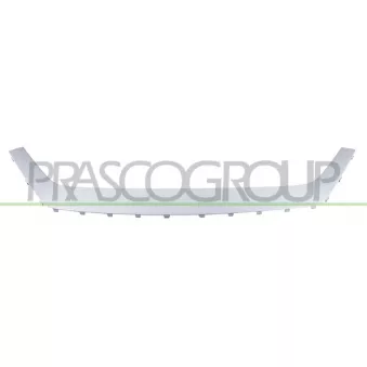 Baguette et bande protectrice, pare-chocs PRASCO TY2081225