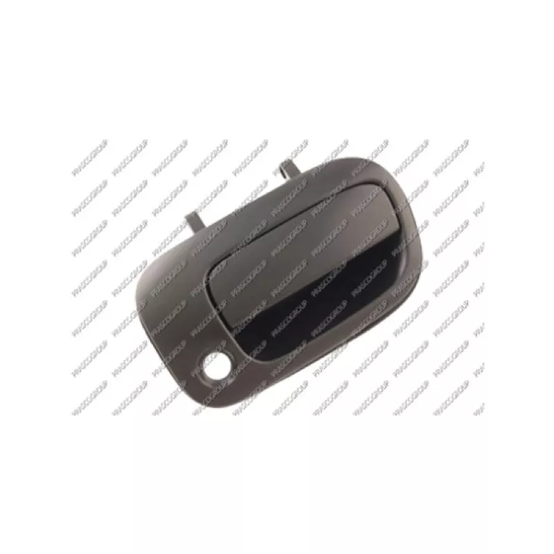 Poignée extérieure de porte PRASCO TY2838303