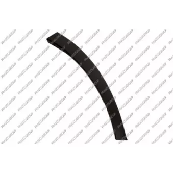 Baguette et bande protectrice, aile avant droit PRASCO TY2911571