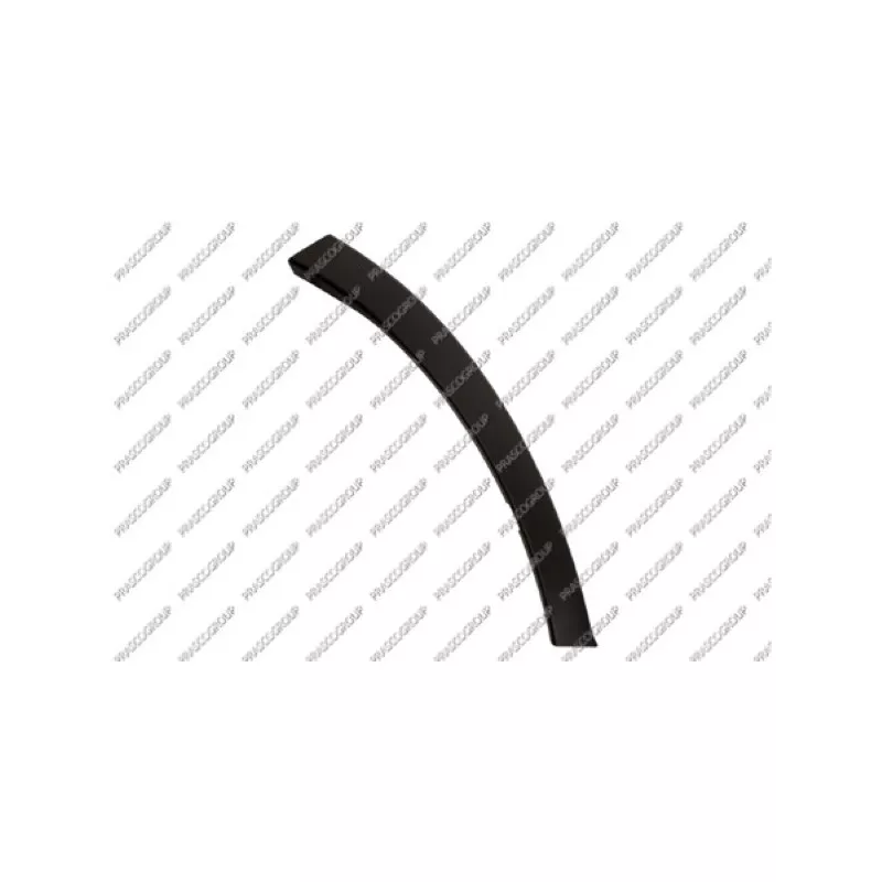 Baguette et bande protectrice, aile avant droit PRASCO TY2911571
