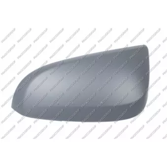Revêtement, rétroviseur extérieur PRASCO TY2917414