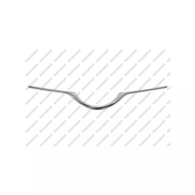 Baguette et bande protectrice, grille de radiateur PRASCO TY3292226