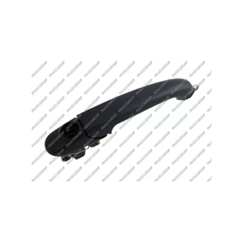 Poignée extérieure de porte PRASCO VG0168011