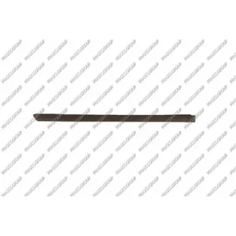 Baguette et bande protectrice, porte arrière droit PRASCO