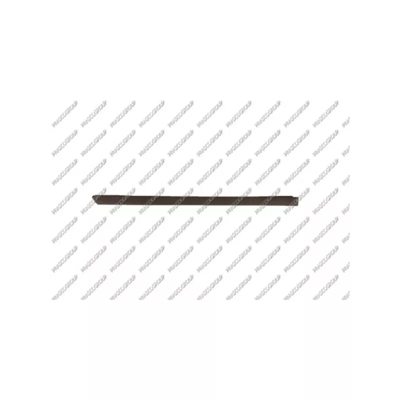 Baguette et bande protectrice, porte arrière droit PRASCO VG0201453