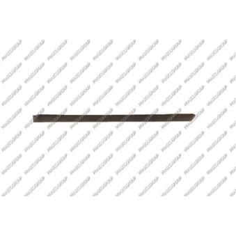 Baguette et bande protectrice, porte arrière gauche PRASCO