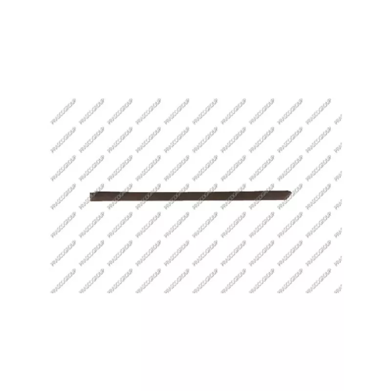 Baguette et bande protectrice, porte arrière gauche PRASCO VG0201454