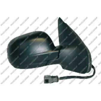 Rétroviseur extérieur PRASCO VG0207313