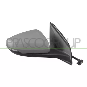 Rétroviseur extérieur PRASCO VG0257313
