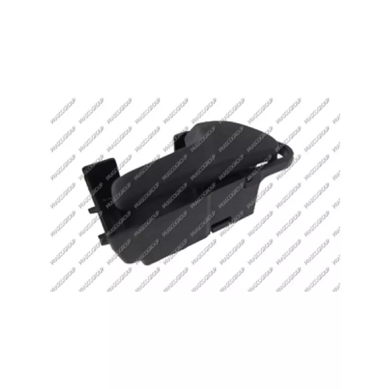 Poignet de porte, équipment intérieur avant droit PRASCO VG0328601