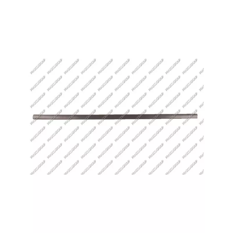 Baguette et bande protectrice, porte avant droit PRASCO VG0341403
