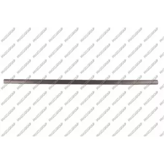 Baguette et bande protectrice, porte avant gauche PRASCO VG0341404