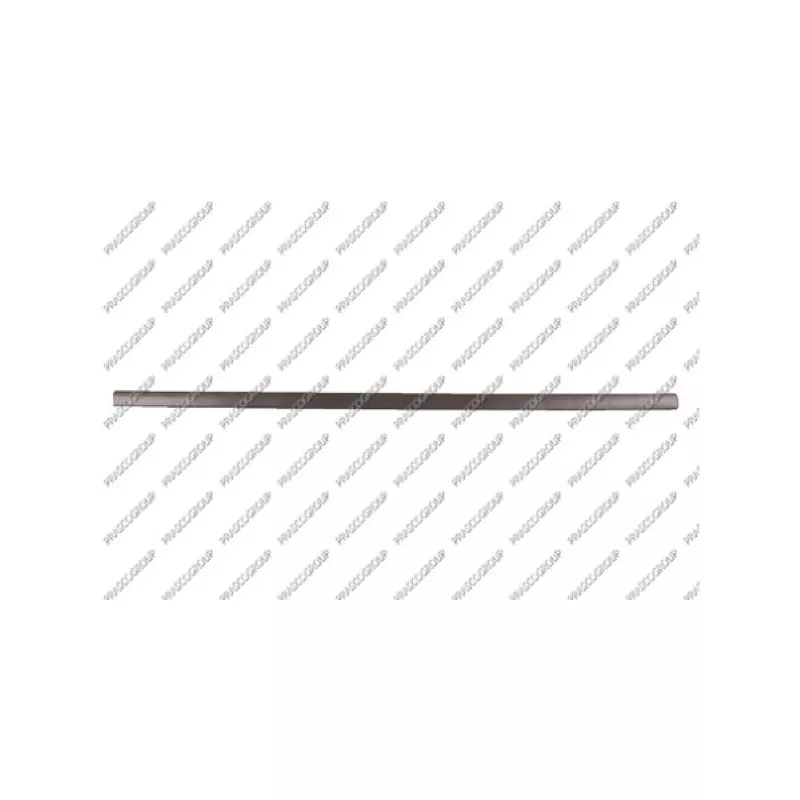 Baguette et bande protectrice, porte avant gauche PRASCO VG0341404