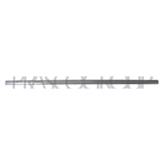 Baguette et bande protectrice, porte avant droit PRASCO VG0341413