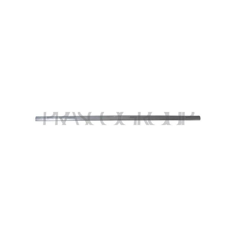 Baguette et bande protectrice, porte avant droit PRASCO VG0341413