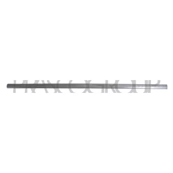 Baguette et bande protectrice, porte avant gauche PRASCO VG0341414