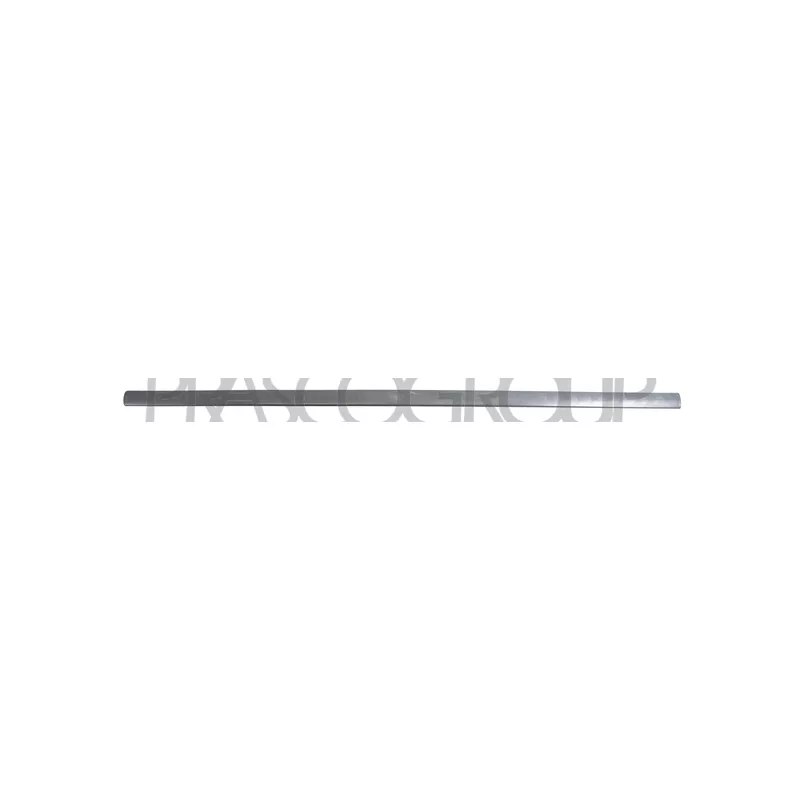 Baguette et bande protectrice, porte avant gauche PRASCO VG0341414