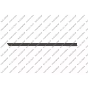 Baguette et bande protectrice, porte arrière droit PRASCO VG0341453