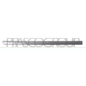 Baguette et bande protectrice, porte arrière droit PRASCO VG0341463