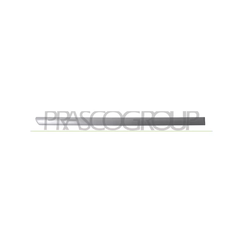 Baguette et bande protectrice, porte arrière droit PRASCO VG0341463