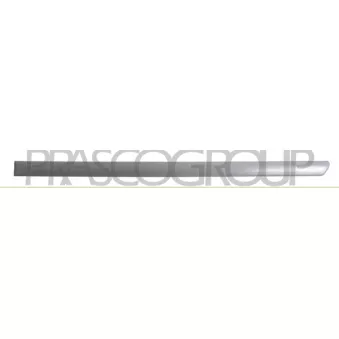 Baguette et bande protectrice, porte arrière gauche PRASCO VG0341464