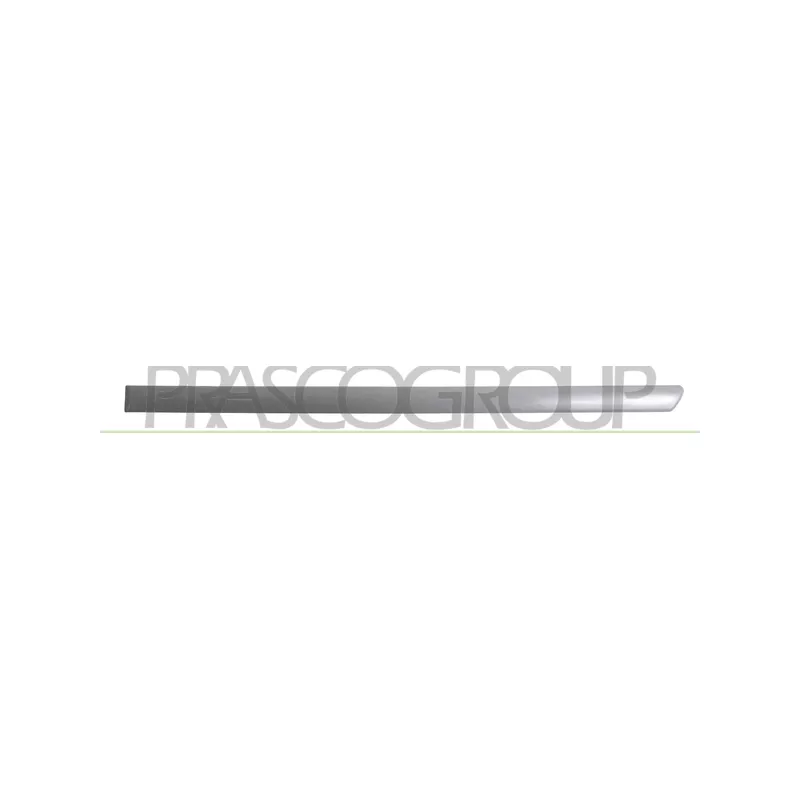 Baguette et bande protectrice, porte arrière gauche PRASCO VG0341464