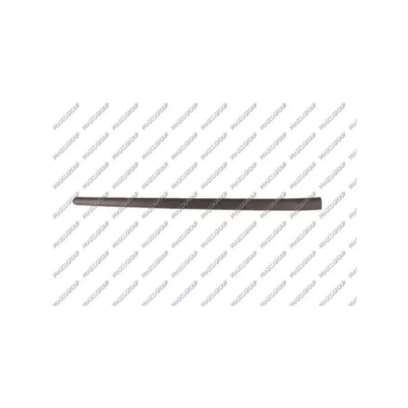 Baguette et bande protectrice, porte avant droit PRASCO VG0361403