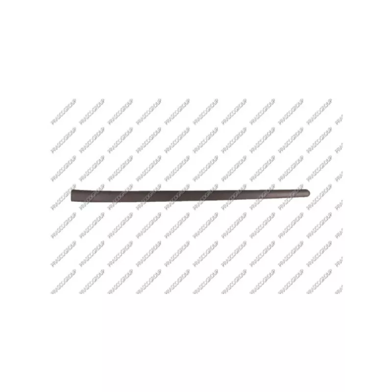 Baguette et bande protectrice, porte avant gauche PRASCO VG0361404