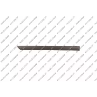 Baguette et bande protectrice, porte arrière droit PRASCO VG0361453