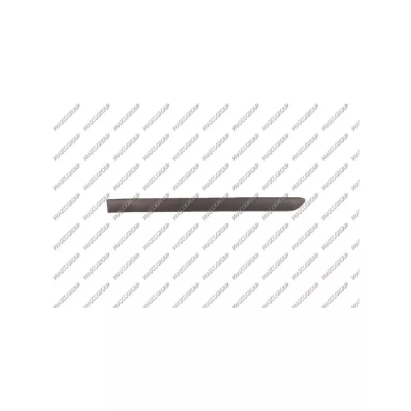 Baguette et bande protectrice, porte arrière gauche PRASCO VG0361454
