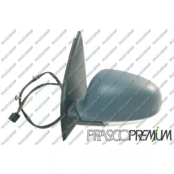 Rétroviseur extérieur PRASCO VG0367324P
