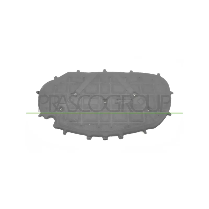 Insonoristaion du compartiment moteur PRASCO VG0381945