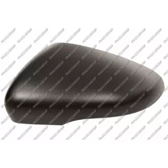 Revêtement, rétroviseur extérieur PRASCO VG0387404