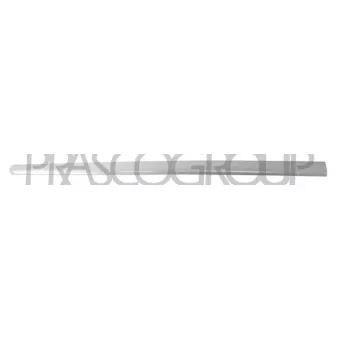 Baguette et bande protectrice, porte avant droit PRASCO VG0401423